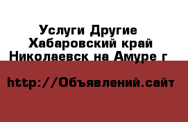 Услуги Другие. Хабаровский край,Николаевск-на-Амуре г.